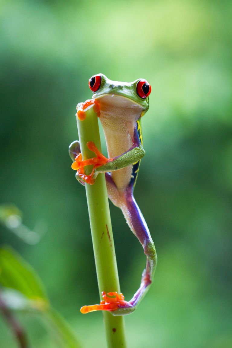 The Quick and Easy Guide to Gardening Greatness this Summer